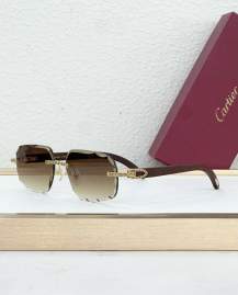 Picture of Cartier Sunglasses _SKUfw77796302fw